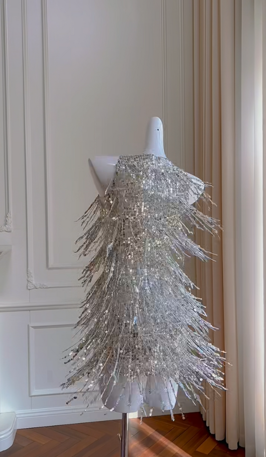 Glam Silver Homecoming Dress Tassel Sequins A-Line Birthday Dress GG5985