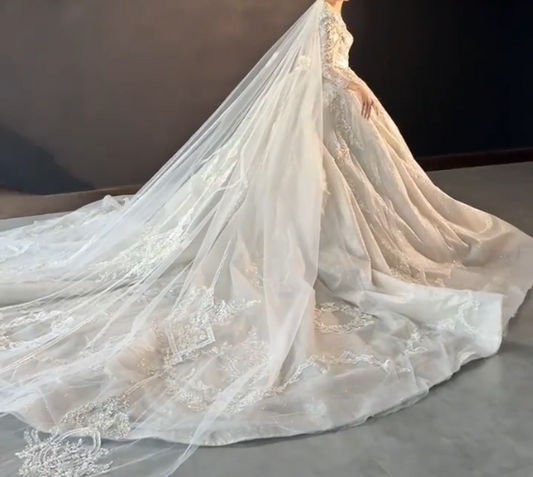 Exquisite V Neck Wedding Dress Long Sleeve Beaded A-Line Bridal Dress GG6683