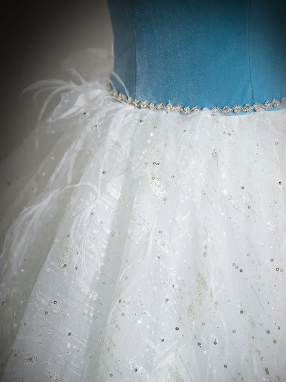 Elegant A Line Off The Shoulder Lace Sequin Tulle Long Prom Gresses,Evening Dresses  GG266