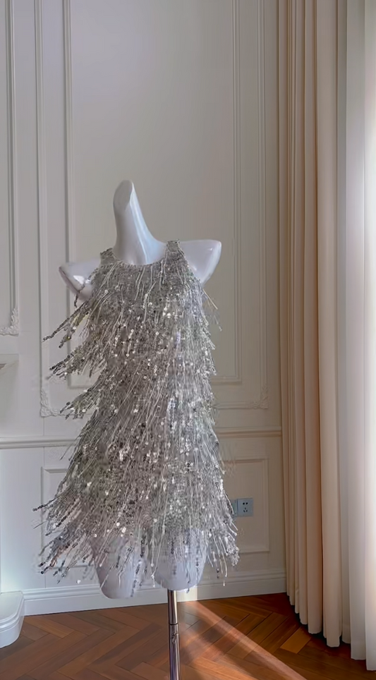 Glam Silver Homecoming Dress Tassel Sequins A-Line Birthday Dress GG5985