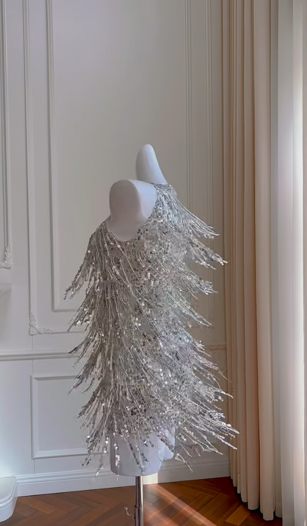 Glam Silver Homecoming Dress Tassel Sequins A-Line Birthday Dress GG5985