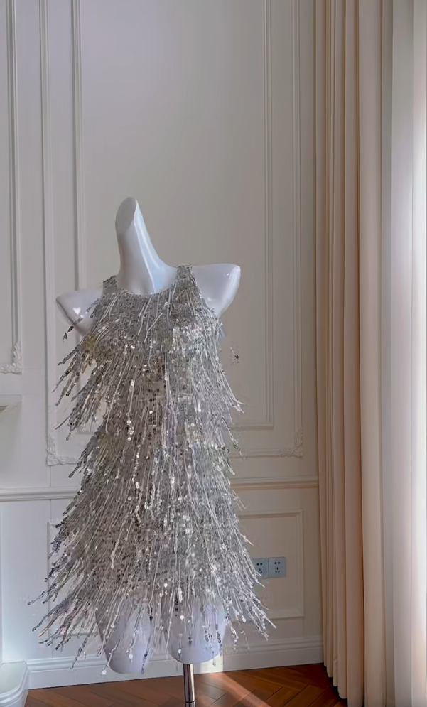 Glam Silver Homecoming Dress Tassel Sequins A-Line Birthday Dress GG5985