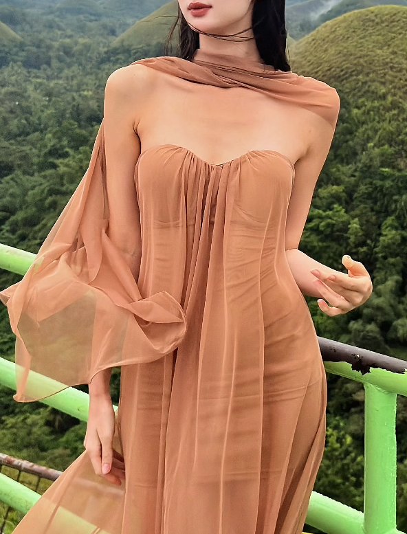 Simple Strapless Brown Prom Dress With Scarf Tulle Sheath Evening Dress GG6258