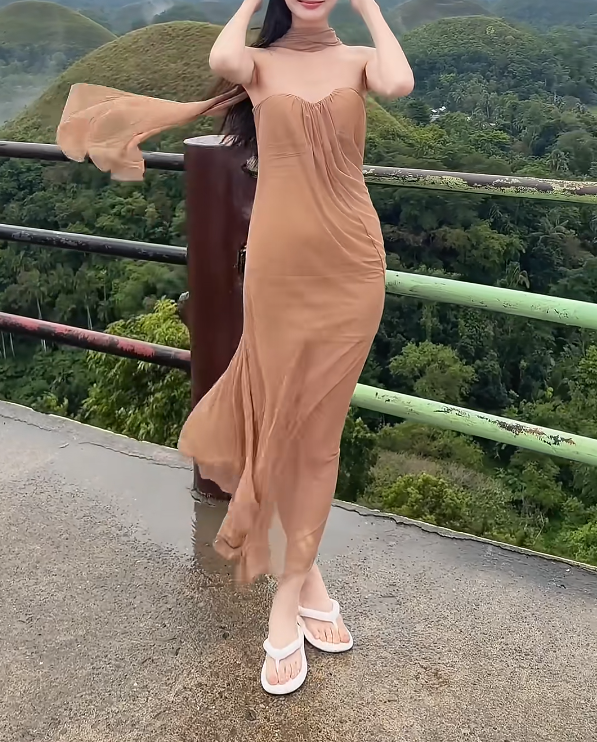 Simple Strapless Brown Prom Dress With Scarf Tulle Sheath Evening Dress GG6258
