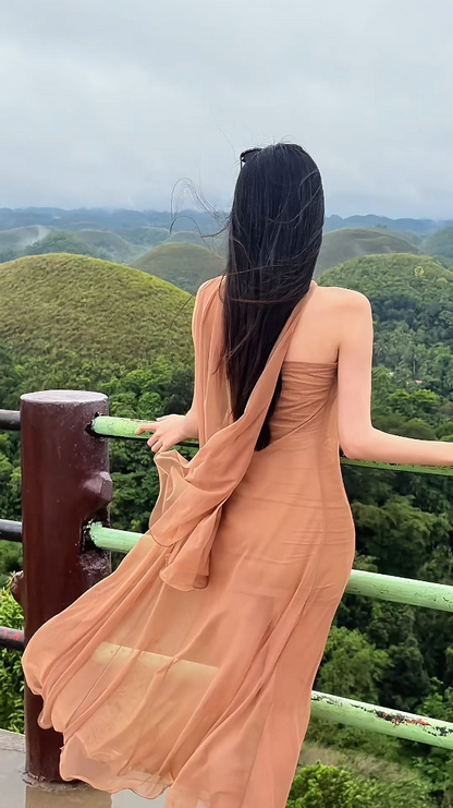 Simple Strapless Brown Prom Dress With Scarf Tulle Sheath Evening Dress GG6258