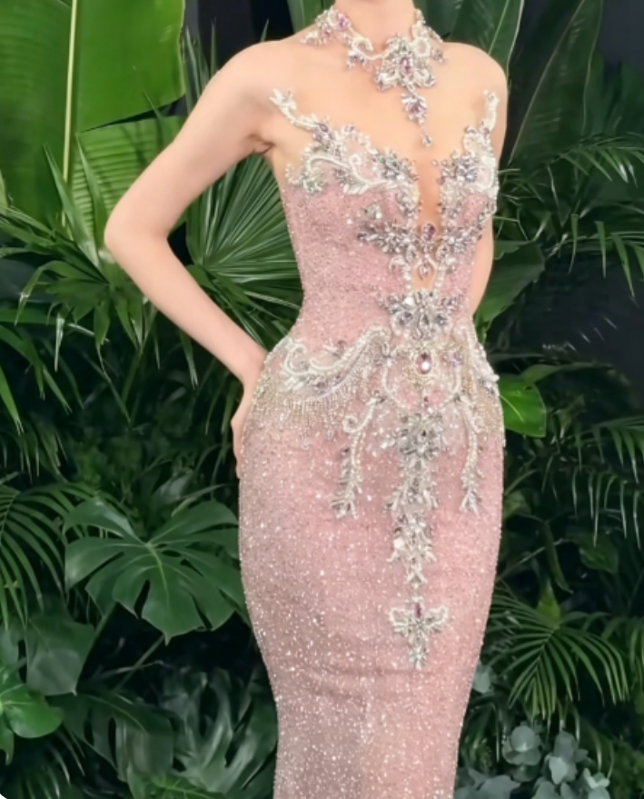 Exquisite Illusion Neck Pink Prom Dress Sequins Beaded Mermaid Evening Dress GG6286