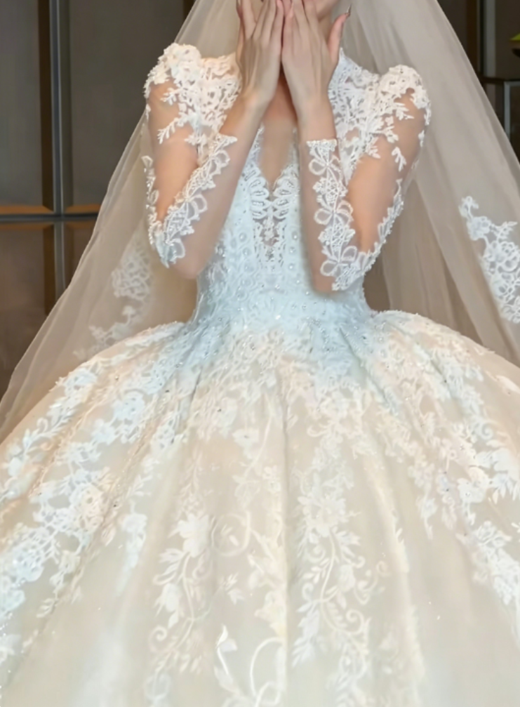Romantic V Neck Wedding Dress Long Sleeve Appliques A-Line Bridal Dress GG6349