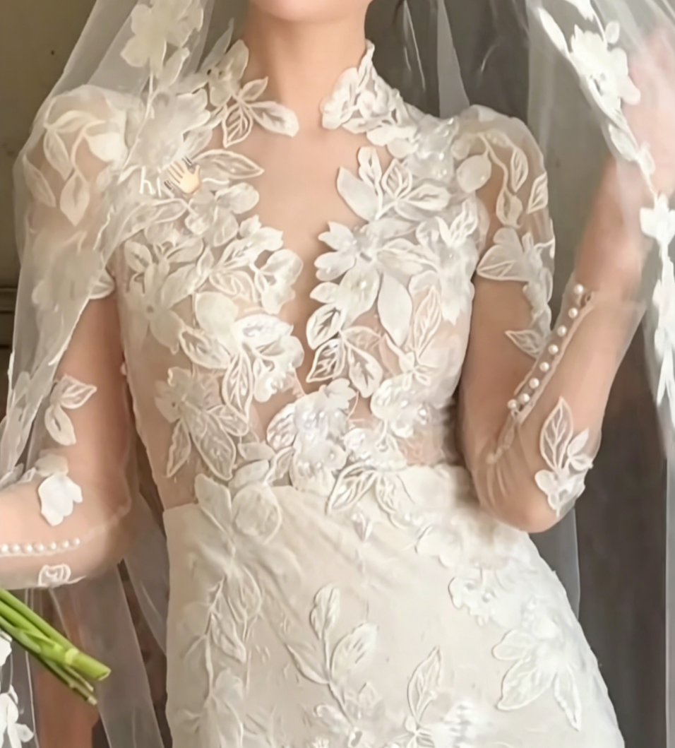 Elegant V Neck Appliques Wedding Dress Long Sleeve Mermiad Bridal Dress GG6513