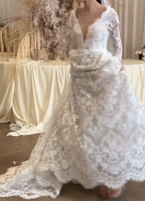 Unique V Neck Lace Wedding Dress Long Sleeve A-Line Bridal Dress GG6681