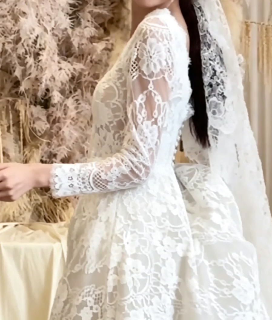Unique V Neck Lace Wedding Dress Long Sleeve A-Line Bridal Dress GG6681