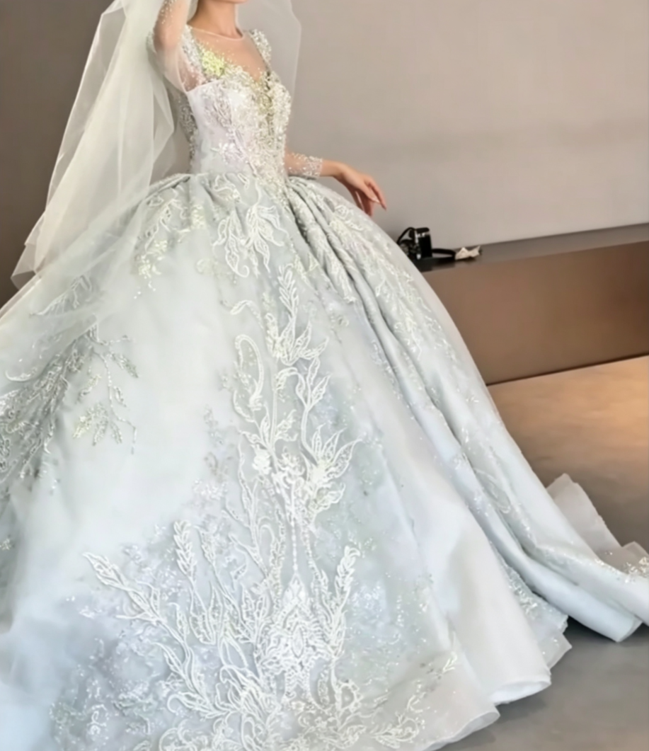 Luxurious Illusion Neck Wedding Dress Long Sleeve Beaded A-Line Bridal Dress GG6684