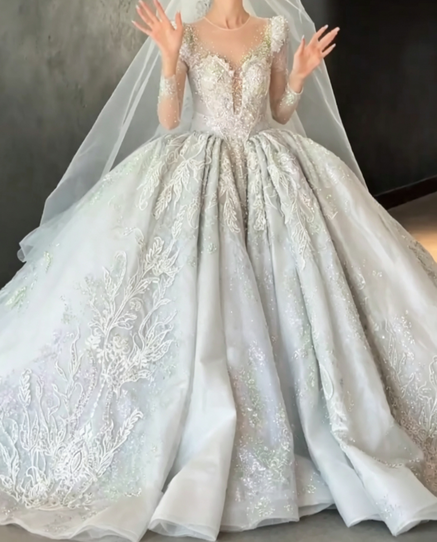Luxurious Illusion Neck Wedding Dress Long Sleeve Beaded A-Line Bridal Dress GG6684