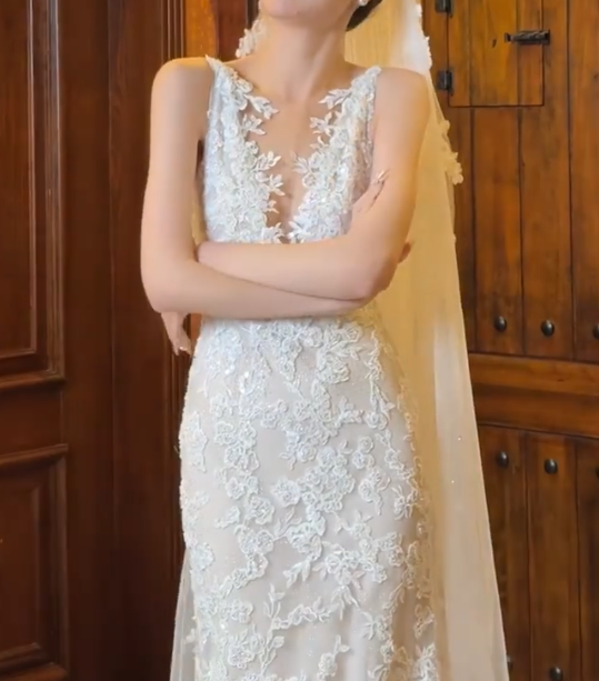 Chic V Neck Sequins Wedding Dress Appliques Mermiad Bridal Dress GG6702