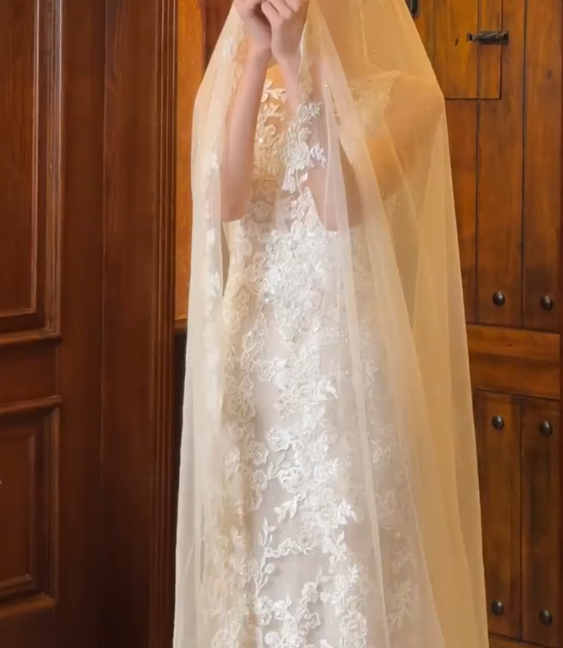 Chic V Neck Sequins Wedding Dress Appliques Mermiad Bridal Dress GG6702