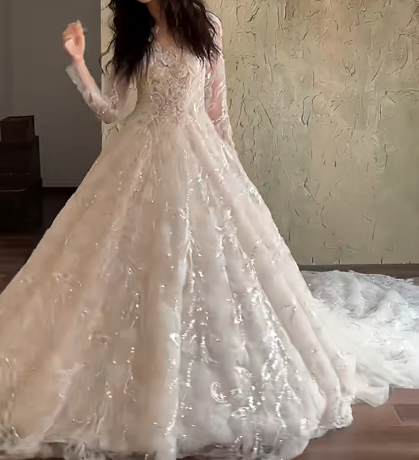 Sleek Illusion Neck Sequins Wedding Dress Long Sleeve Appliques A-Line Bridal Dress GG6703