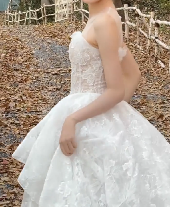Sleek Illusion Neck Ruffled Wedding Dress Lace A-Line Bridal Dress GG6710