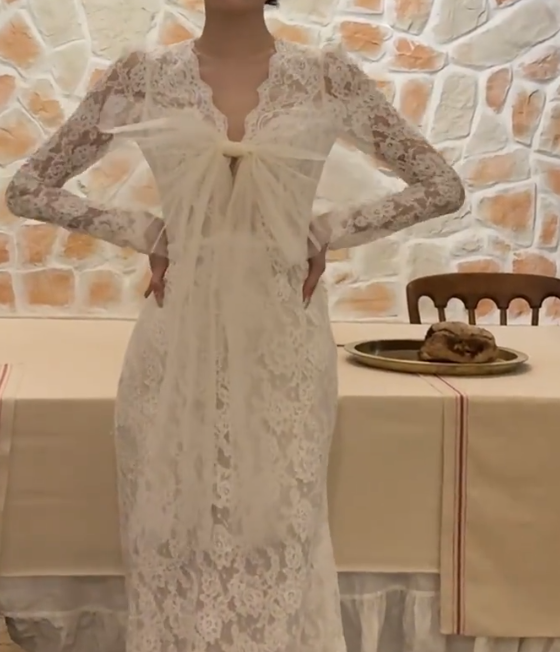 Graceful V Neck Wedding Dress Lace Long Sleeve Mermiad Bridal Dress GG6712