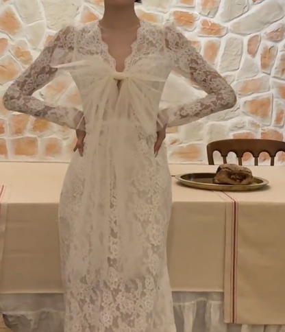 Graceful V Neck Wedding Dress Lace Long Sleeve Mermiad Bridal Dress GG6712