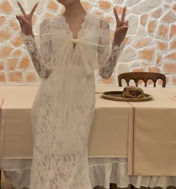 Graceful V Neck Wedding Dress Lace Long Sleeve Mermiad Bridal Dress GG6712