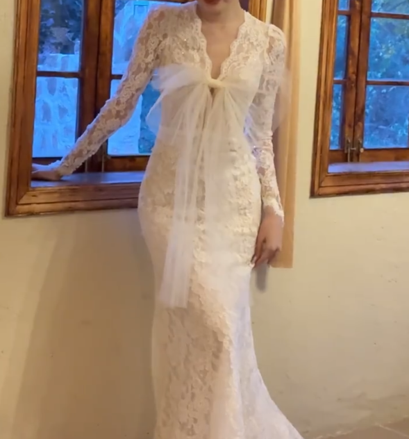 Graceful V Neck Wedding Dress Lace Long Sleeve Mermiad Bridal Dress GG6712