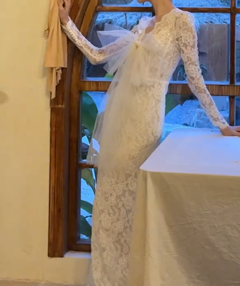 Graceful V Neck Wedding Dress Lace Long Sleeve Mermiad Bridal Dress GG6712