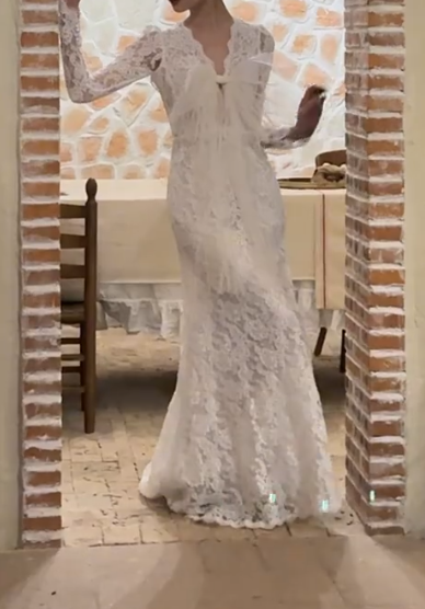 Graceful V Neck Wedding Dress Lace Long Sleeve Mermiad Bridal Dress GG6712