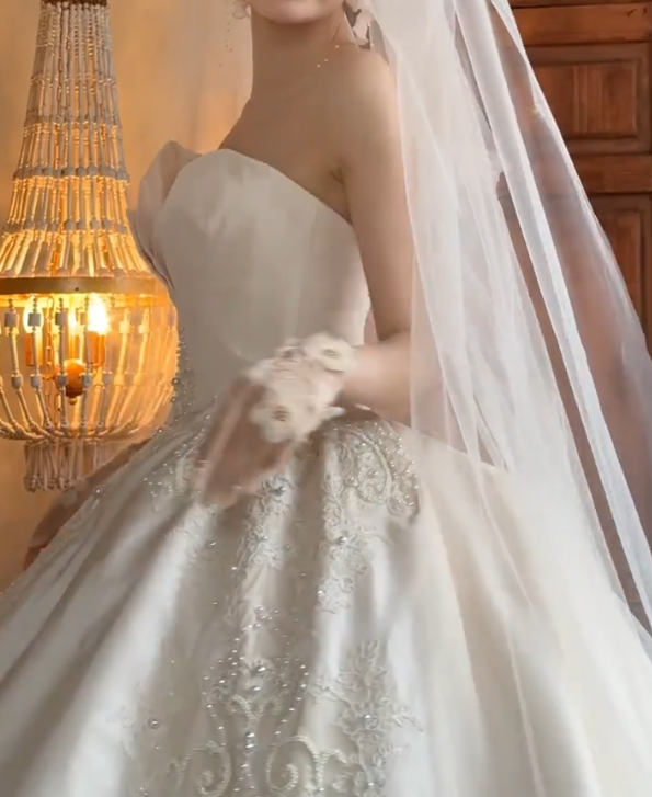 Sleek Strapless Wedding Dress Sequins Appliques A-Line Bridal Dress GG6716