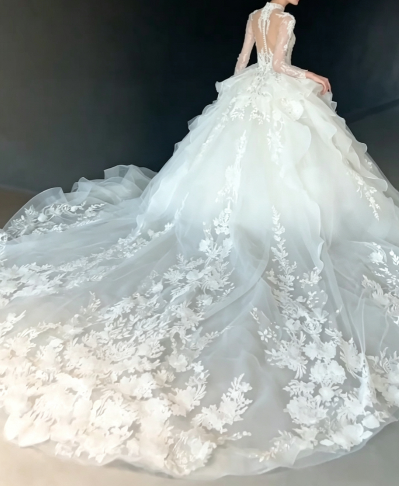 Enchanting High Collar Tulle Wedding Dress Long Sleeve Appliques A-Line Bridal Dress GG6790