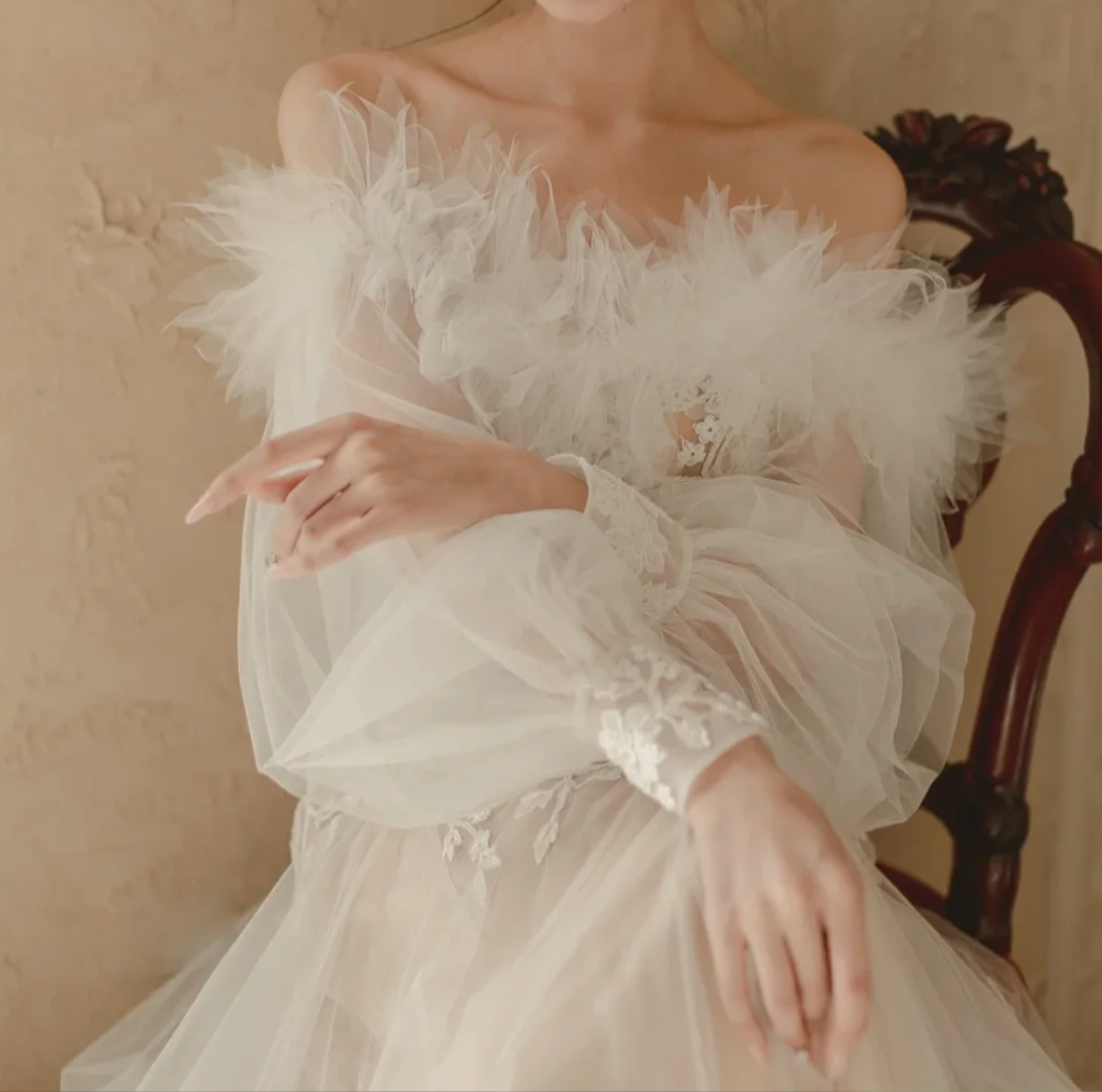 Charming Off-Shoulder Feather Wedding Dress Long Sleeve Lace A-Line Bridal Dress GG6808
