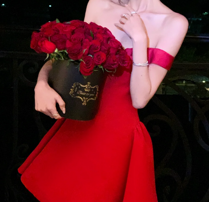 Chic Off-Shoulder Red Homecoming Dress A-Line Birthday Dress GG7006