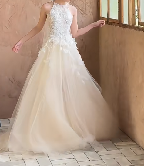 Fascinating Halter Neck Wedding Dress Appliques Tulle A-Line Bridal Dress GG7296