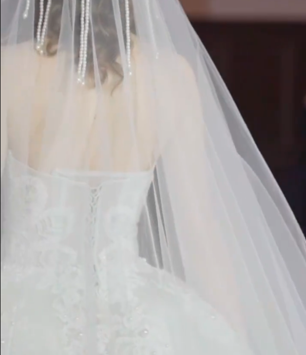 Trendy Strapless Appliques Wedding Dress Beads A-Line Bridal Dress GG7316
