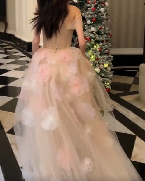Enchanting Off-Shoulder Prom Dress Pink Appliques Tulle A-Line Evening Dress GG7332
