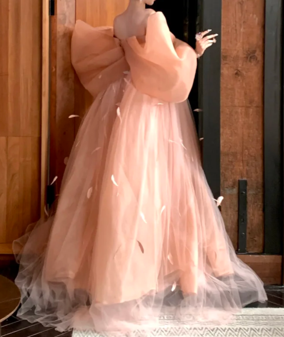 Ethereal Off The Shoulder Prom Dress Apricot Tulle Feather A-Line Evening Dress GG7748